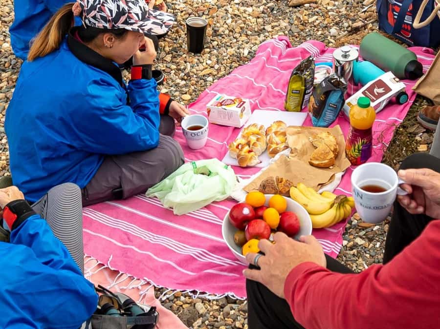 Christchurch: Sea Kayaking Tour of Lyttelton Harbour - Is $268 a fair price?