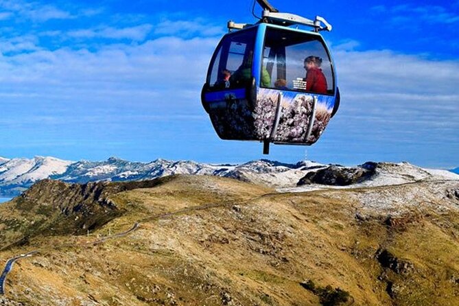 Christchurch Sightseeing Pass - Accessibility and comfort notes