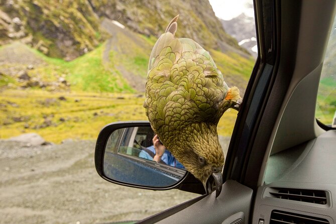 Christchurch to Arthur's Pass Day Tour: TranzAlpine Train & Lunch - The optional Alpine Jet Thrills add-on