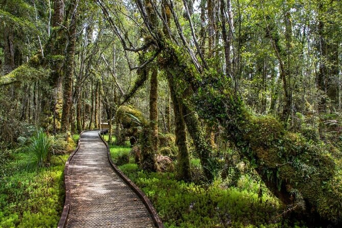 Christchurch to Franz Josef 1-Way Small Group Tour via Hokitika - From Christchurch to Lake Lyndon