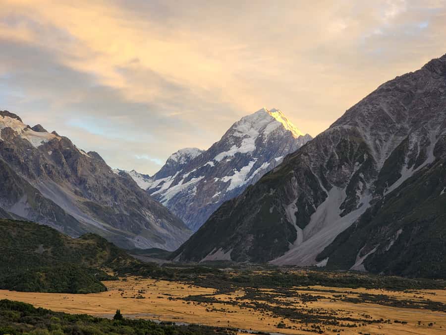 Christchurch to Mt Cook via Lake Tekapo (1 way) - Key points to know before you book