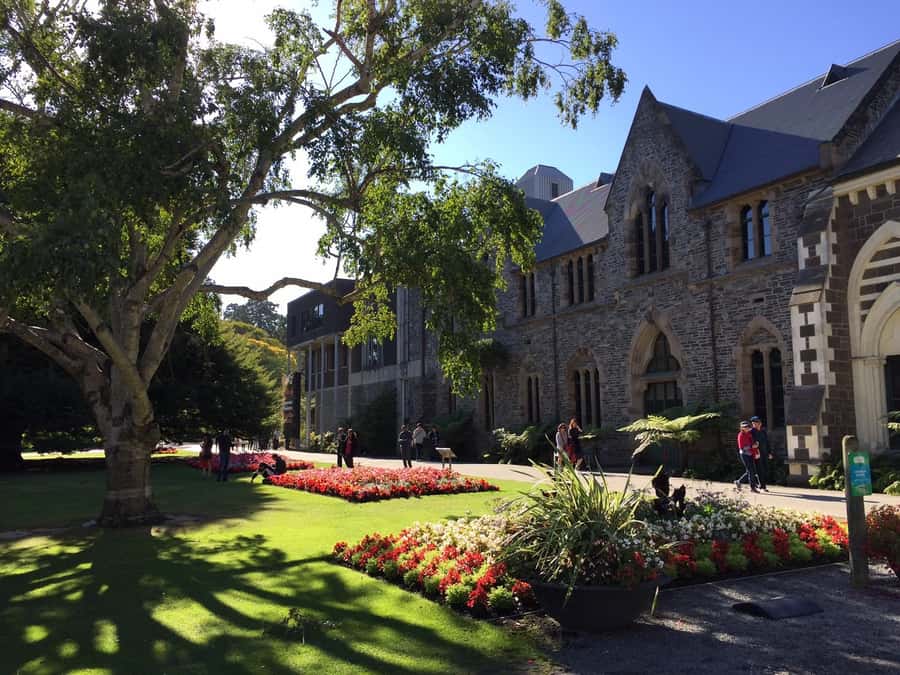 Christchurch: to Queenstown via Mt Cook 1 Way Tour - Small group comfort and the long day