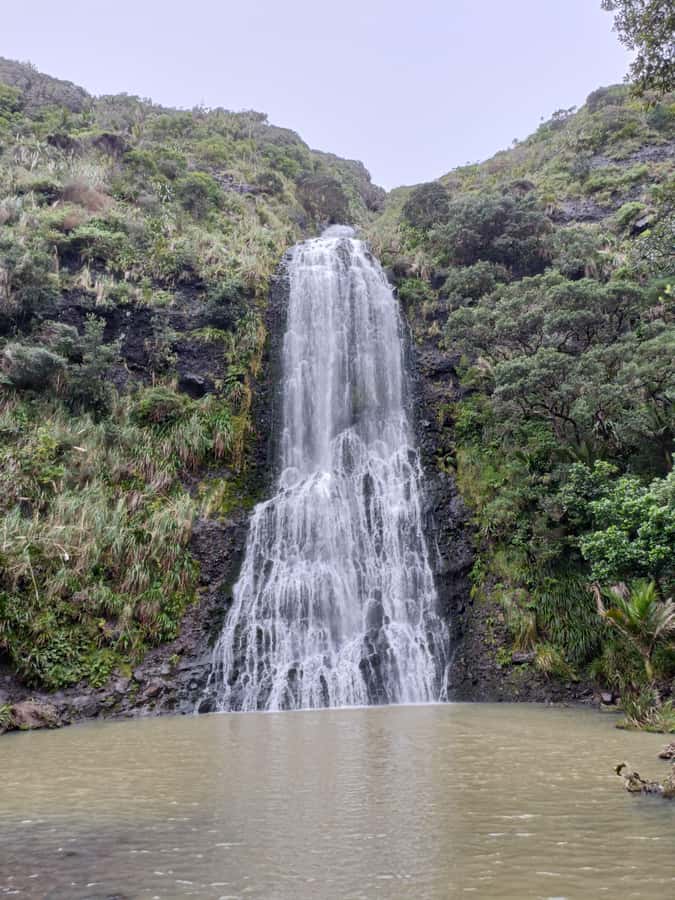 “City & Coast & Country” – A Relaxed Day Tour from Auckland - Key points at a glance