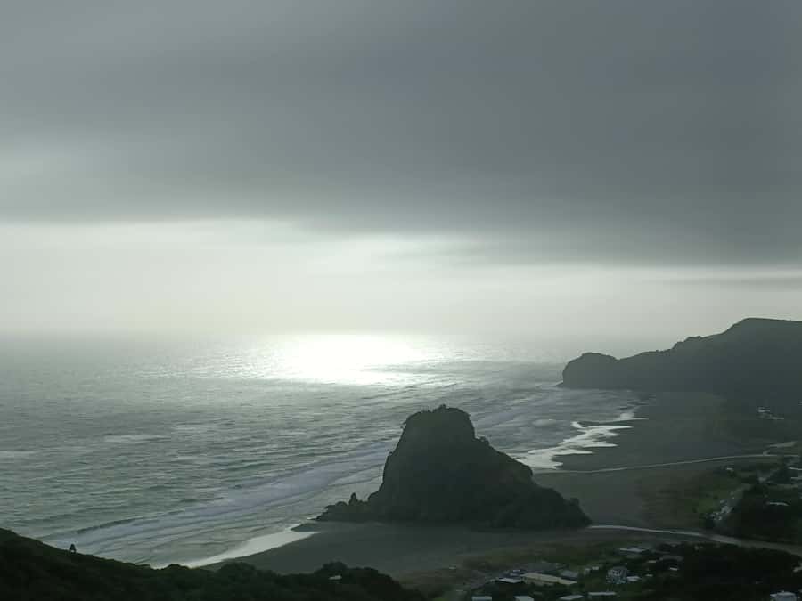 “City & Coast & Country” – A Relaxed Day Tour from Auckland - Kumeū wine country and an optional lunch stop