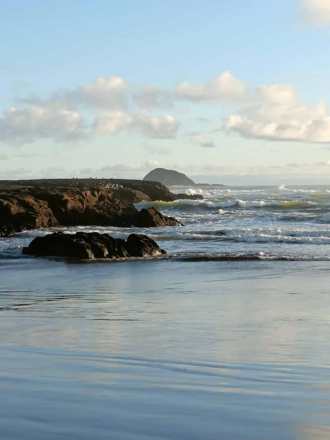 “City & Coast & Country” – A Relaxed Day Tour from Auckland - Who should book this tour?