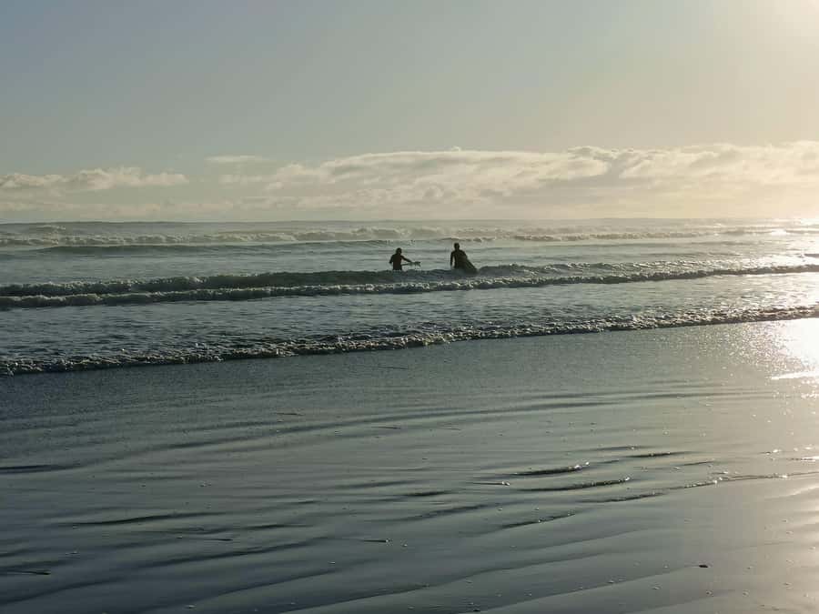 “City & Coast & Country” – A Relaxed Day Tour from Auckland - From Auckland CBD to the Arataki ridgeline