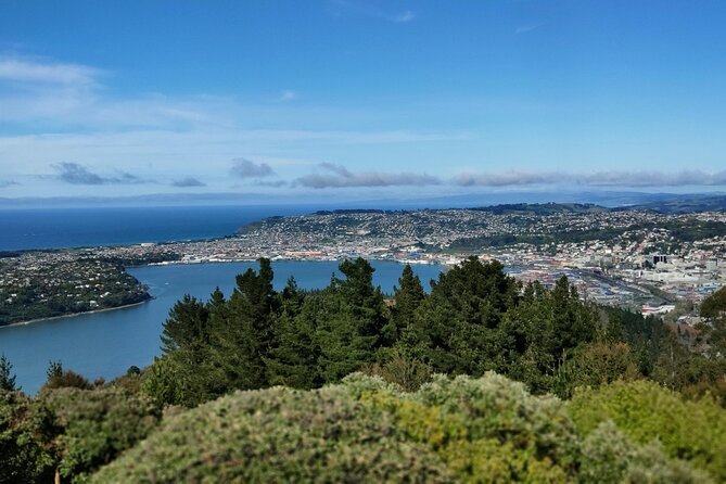 City Highlights, Larnach Castle & Peninsula Views - The Otago Peninsula adds open views