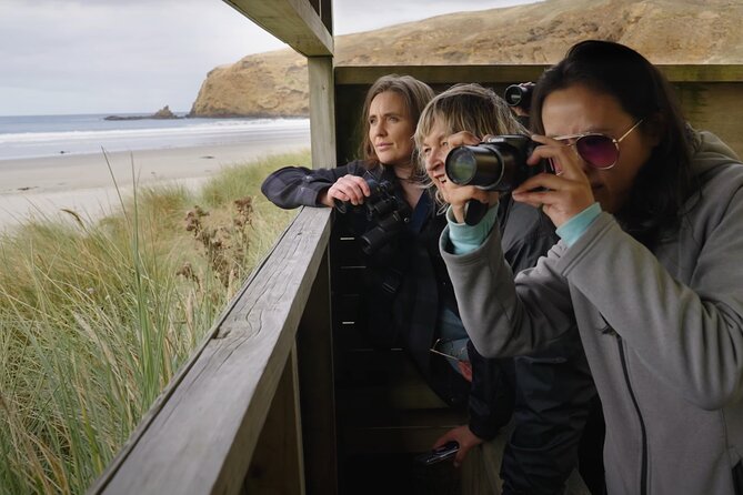 Clearwater Wildlife Tours (small group 10max) Otago Peninsula - Who will enjoy this tour most?