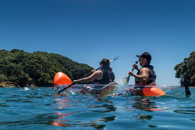 Clearyak hire at Goat Island Marine Reserve - What you may see below the kayak