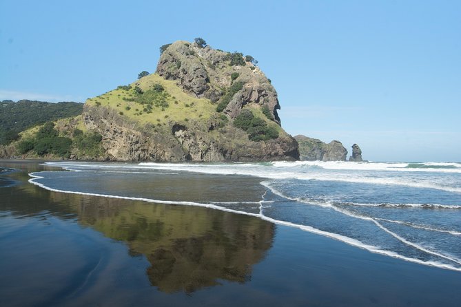 Coast and Rainforest Eco-Tour from Auckland with Picnic Lunch - Key points to know before you book