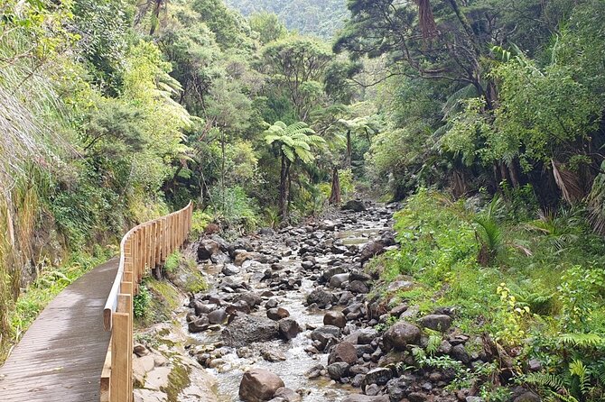 Coast and Rainforest Eco-Tour from Auckland with Picnic Lunch - Arataki Visitor Centre: the gateway to the ranges