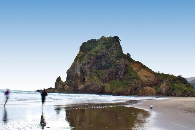 Coast and Rainforest Eco-Tour from Auckland with Picnic Lunch - Lunch, transport, and the $192.38 price
