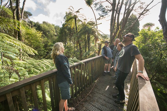 Coast and Rainforest Eco-Tour from Auckland with Picnic Lunch - Weather, footwear, and fitness advice