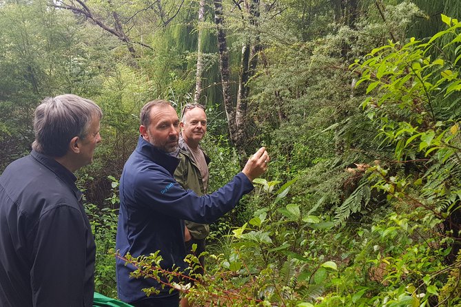 Coast and Rainforest Eco-Tour from Auckland with Picnic Lunch - Mercer Bay Loop: the day’s best ocean view