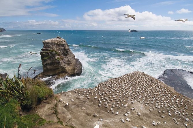 Coast to Coast Private Eco Tour - Key points to know before booking