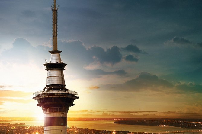 Coast to Coast Private Eco Tour - Mission Bay and Auckland’s eastern waterfront