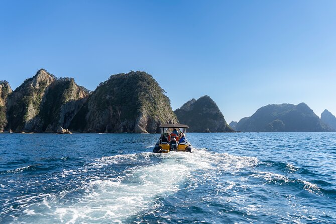 Coromandel Adventure and Wildlife Boat Tour to Aldermen Islands - Wildlife watching without a guarantee