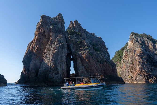 Coromandel Adventure and Wildlife Boat Tour to Aldermen Islands - Snorkeling when the season and sea allow