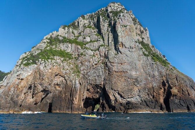 Coromandel Adventure and Wildlife Boat Tour to Aldermen Islands - What the $102.39 price gives you
