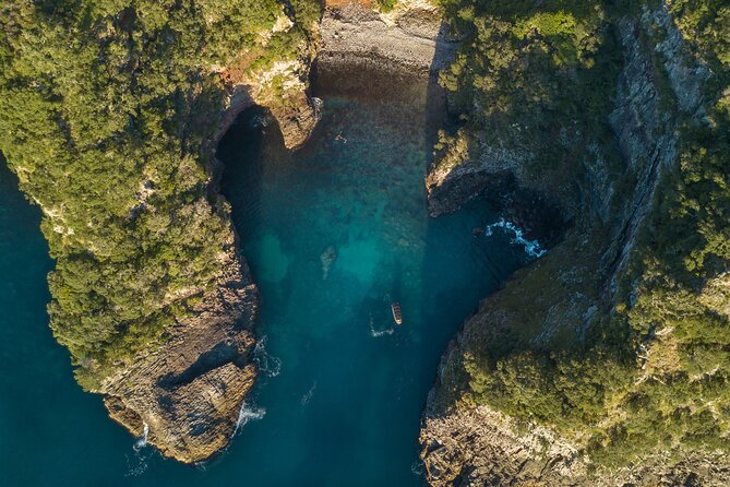 Coromandel Adventure and Wildlife Boat Tour to Aldermen Islands - Timing, weather, and cancellation details