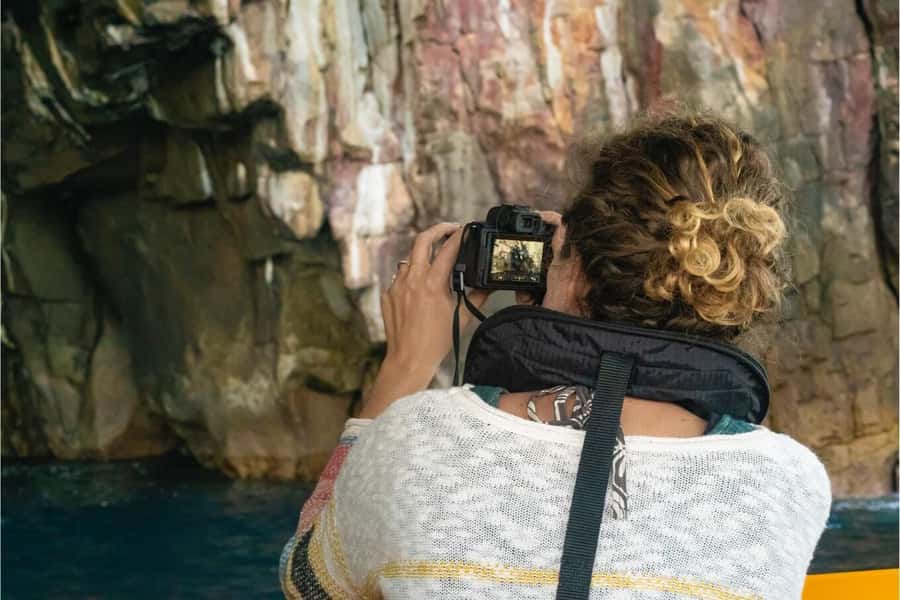 Coromandel: Aldermen Islands Marine Reserve Wildlife Cruise - FAQ