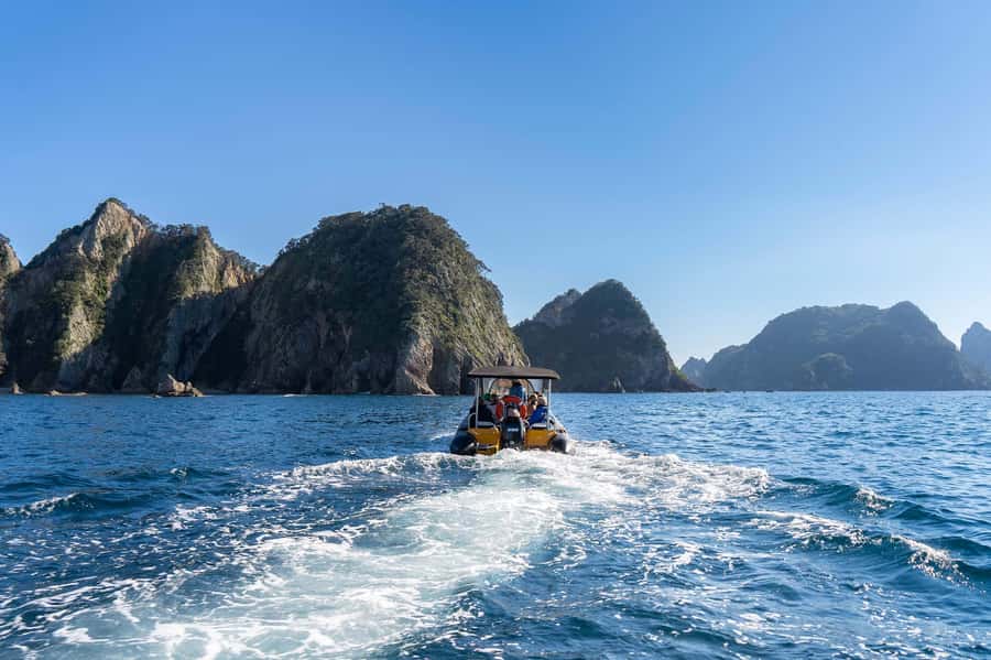 Coromandel: Aldermen Islands Marine Reserve Wildlife Cruise - Who will enjoy this Coromandel boat trip?