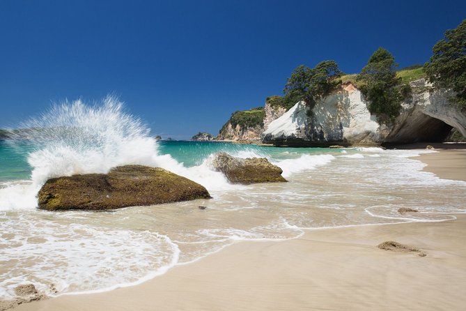 Coromandel Coastal Experience - Small Group Tour from Auckland - Walking through the forest to Cathedral Cove