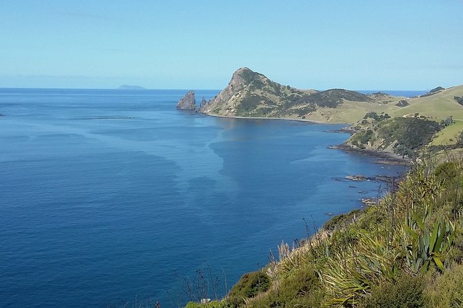 Coromandel Coastal Experience - Small Group Tour from Auckland - Hot Water Beach and your sandy spa