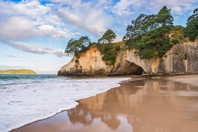 Coromandel Coastal Experience - Small Group Tour from Auckland - What the guide and vehicle add