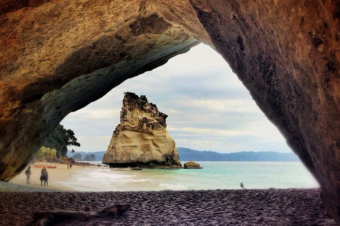 Coromandel Coastal Experience - Small Group Tour from Auckland - Is the listed price really $0?