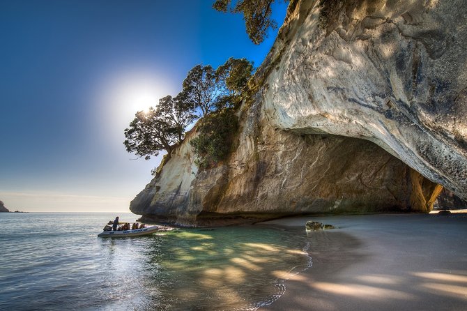 Coromandel Coastal Experience - Small Group Tour from Auckland - Timing, weather, and cancellation details