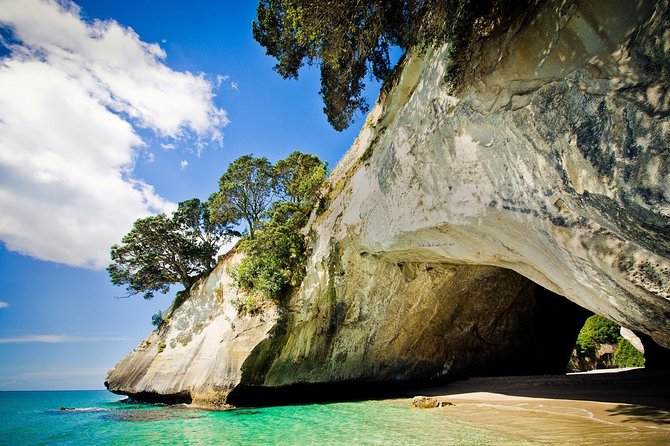 Coromandel Coastal Experience - Small Group Tour from Auckland - The 7:00 am Auckland pickup
