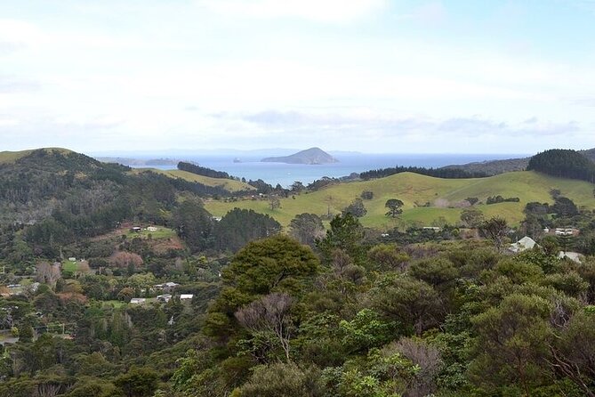 Coromandel Day Tour From Auckland - Hot Water Beach: timing, sand, and hot pools