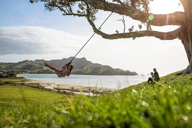 Coromandel Day Tour From Auckland - The walk to Cathedral Cove