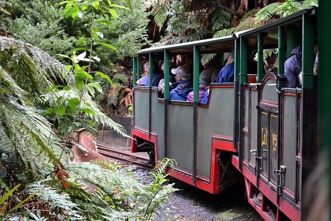 Coromandel Day Tour From Auckland - What the guides add to the day