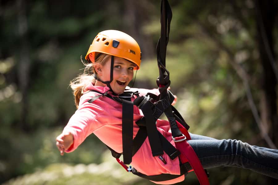 Coromandel: Guided Zipline Tour Experience - Coromandel’s forest story between the platforms