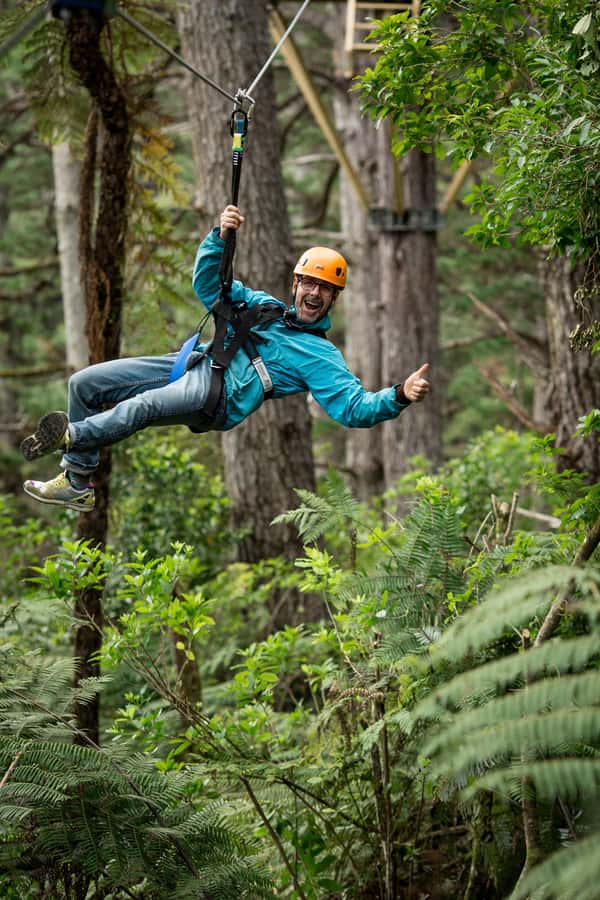 Coromandel: Guided Zipline Tour Experience - What the guides add to the experience