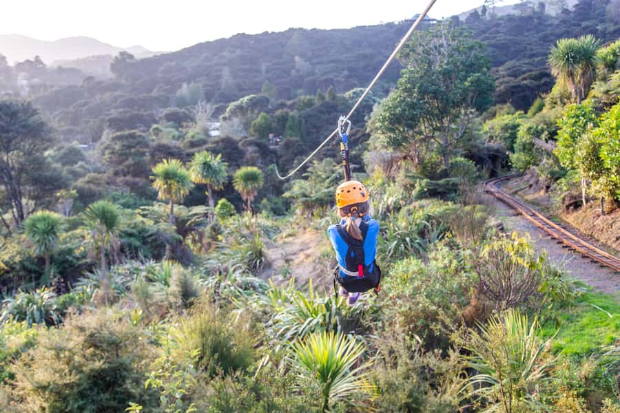 Coromandel: Guided Zipline Tour Experience - Weather, clothing, and comfort