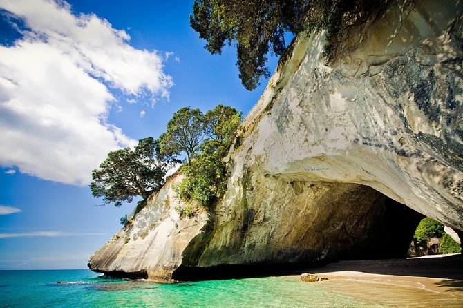 Coromandel Peninsula Discovery - Private Tour From Auckland - Coffee and comfort stops at Ngatea and Whangamata