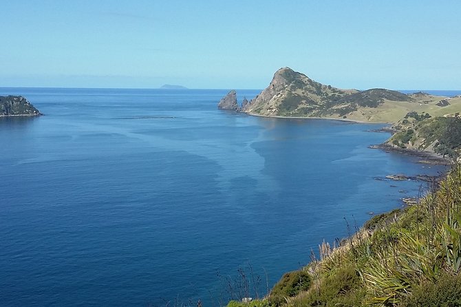 Coromandel Peninsula Discovery - Private Tour From Auckland - Hot Water Beach and the tide