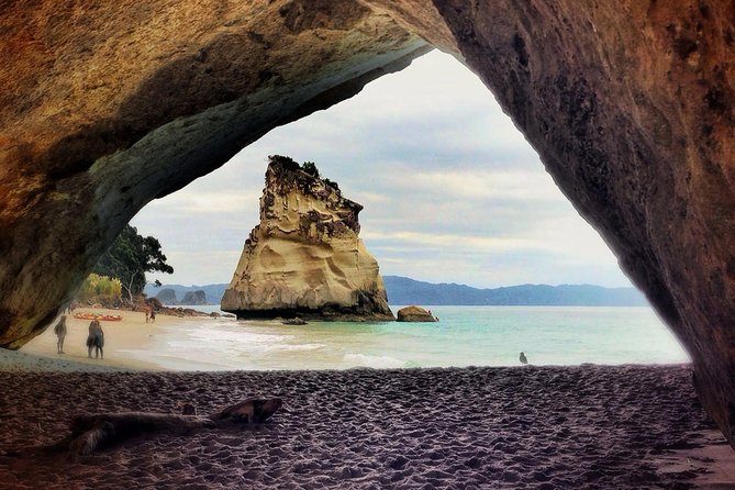 Coromandel Peninsula Discovery - Private Tour From Auckland - Walking, fitness, and comfort