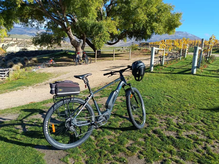 Cromwell: Lake Dunstan Trail Bike Rental and Luxury Shuttle - Carrick Winery and the Mid-Ride Pause