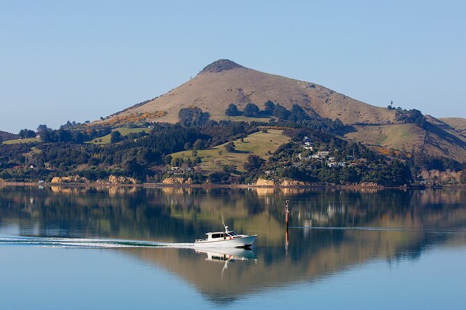 Cruise Dunedin City and Castle Tour - Crossing the Otago Peninsula by the high road