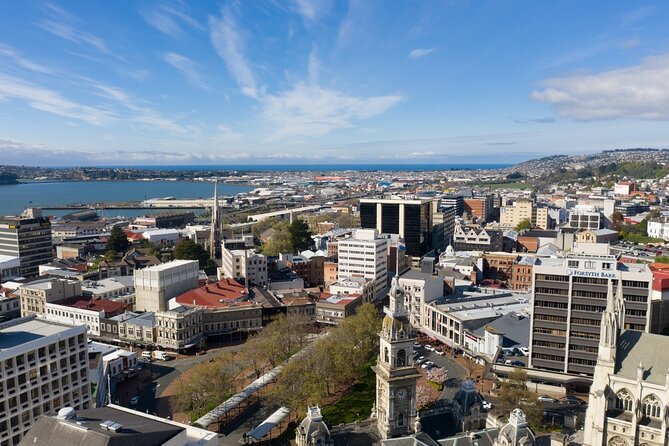 Cruise Dunedin City and Castle Tour - Port Chalmers to Dunedin: an easy introduction