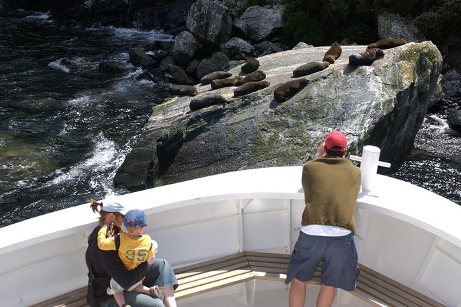 Cruise Milford NZ Small Boutique Cruise Experience - Tea, coffee, biscuits, and your own picnic