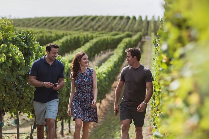 CRUISE SHIP DAY Marlborough Hop On Hop Off Wine Tours - Saint Clair, Hunter’s, and the central winery belt