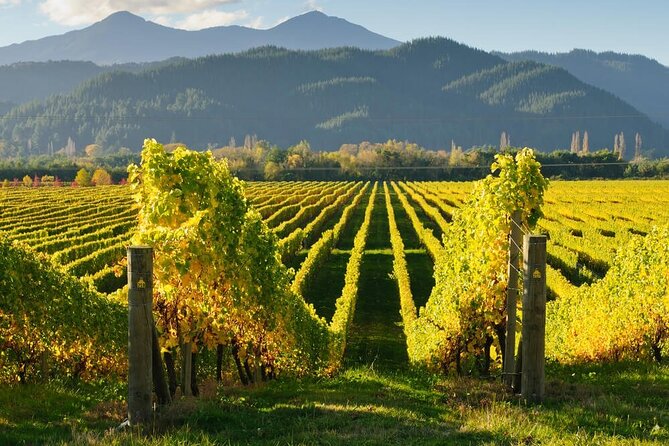 CRUISE SHIP DAY Marlborough Hop On Hop Off Wine Tours - Beer, pubs, and country stops