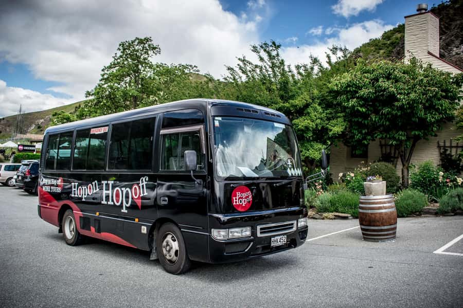 CRUISE SHIP DAYS - HOP ON HOP OFF - Wine, Beer, Food Tour - Key points to know before you board