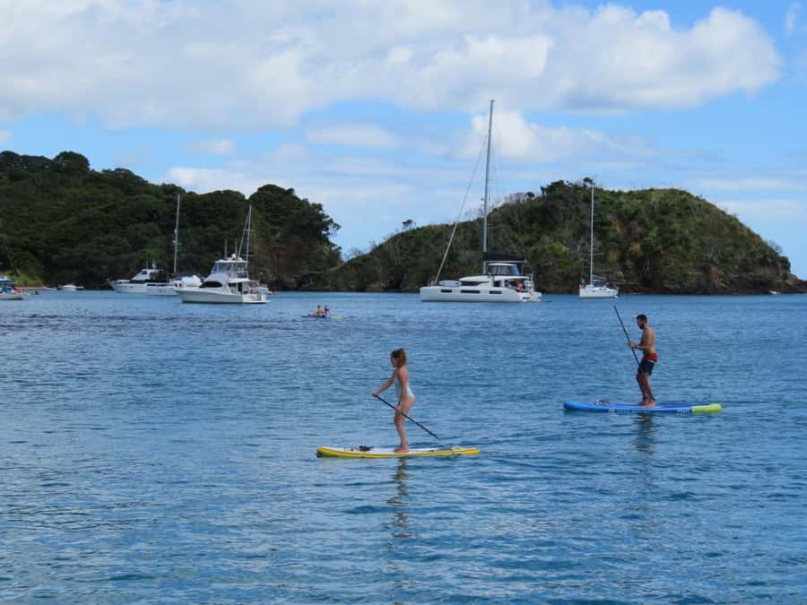 Day Sailing Charter on Catamaran with Lunch : Bay Of Islands - Should You Book Bayscapes Charters?