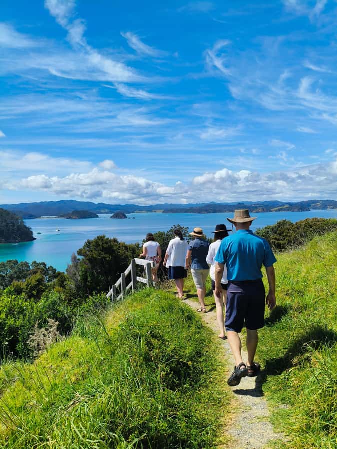 Day Sailing Charter on Catamaran with Lunch : Bay Of Islands - Setting Out From Paihia Wharf at 9:30